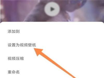《小红书》怎么设置视频壁纸？
